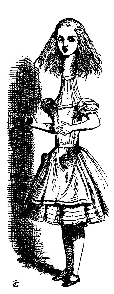 De Alice's Abenteuer im Wunderland Carroll pic 05