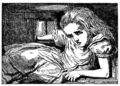 De Alice's Abenteuer im Wunderland Carroll pic 11