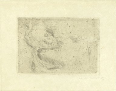 De slaapster, James Ensor, Mu.ZEE Oostende, SM001566