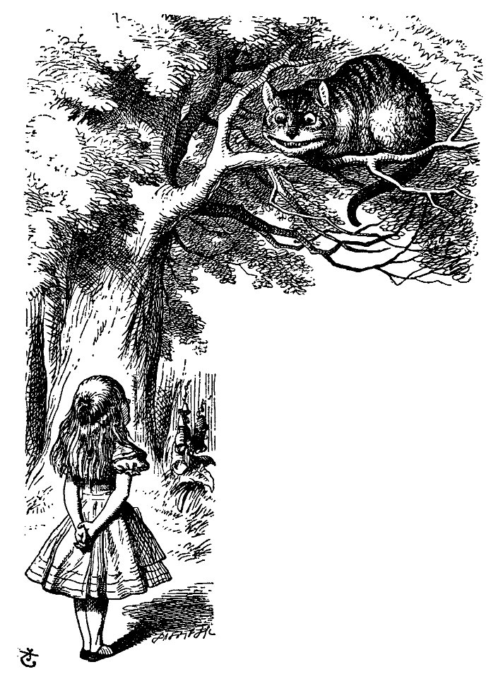 De Alice's Abenteuer im Wunderland Carroll pic 23