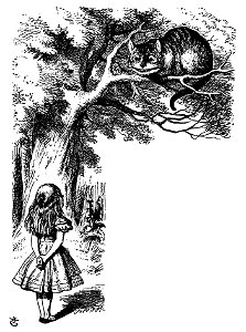 De Alice's Abenteuer im Wunderland Carroll pic 23