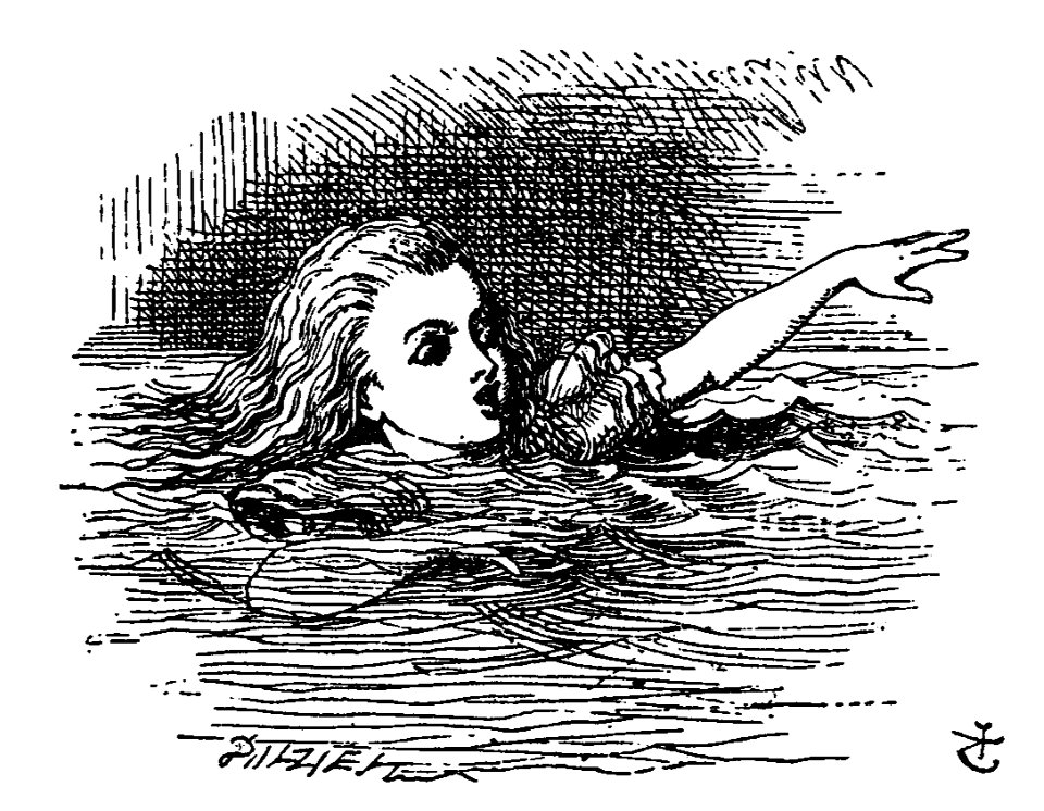 De Alice's Abenteuer im Wunderland Carroll pic 07