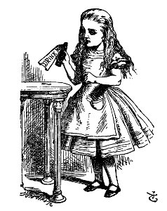 De Alice's Abenteuer im Wunderland Carroll pic 04