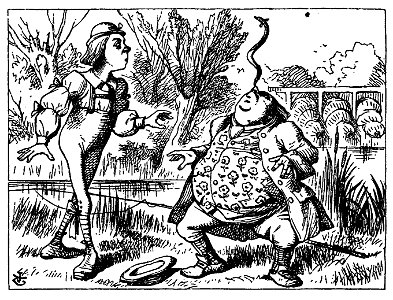 De Alice's Abenteuer im Wunderland Carroll pic 19