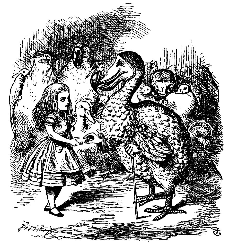 De Alice's Abenteuer im Wunderland Carroll pic 10