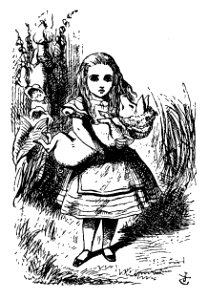 De Alice's Abenteuer im Wunderland Carroll pic 22