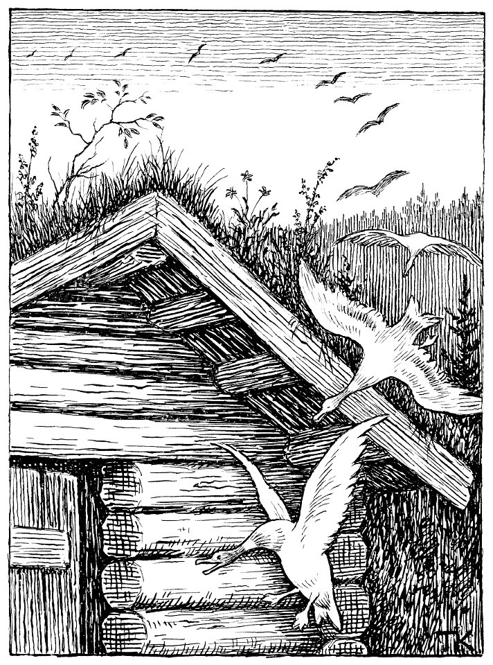 De tolv villender 2