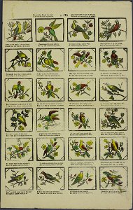 De vogeltjes die gij hier ziet O lieve kindren! zingen niet-Catchpenny print-Borms 0649