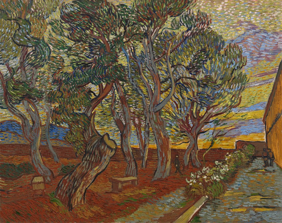 De tuin van de inrichting - s0196V1962 - Van Gogh Museum