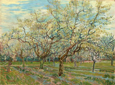De witte boomgaard - s0024V1962 - Van Gogh Museum