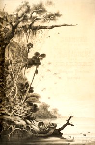 Die Jgarite auf dem untern Amazonas, da Coleção Brasiliana Iconográfica