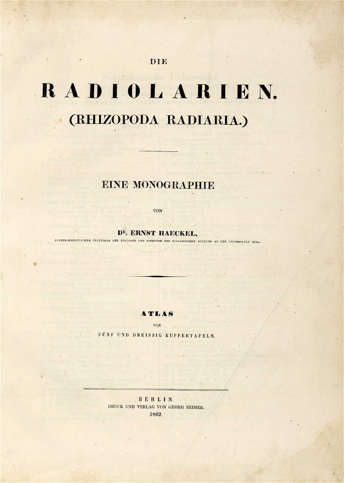 Die Radiolarien (Rhizopoda radiata) - Ernst Haeckel - Titelblatt
