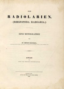 Die Radiolarien (Rhizopoda radiata) - Ernst Haeckel - Titelblatt