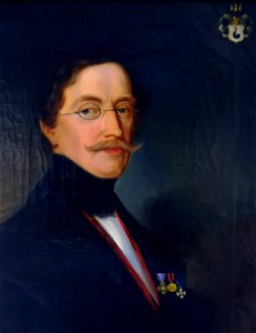 Die Sammlung Adelsheim im Deutschordensmuseum. (Portrait des Stifters.)