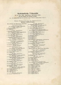Die Radiolarien (Rhizopoda radiata) - Ernst Haeckel - Abbildungsverzeichnis01