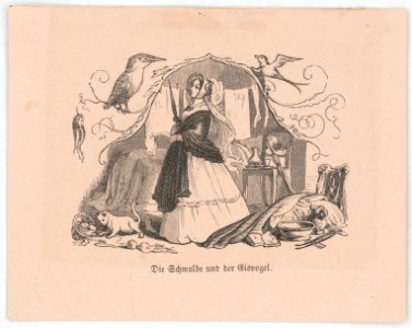 Die Schwalbe und der Eisvogel - (X.A. v. Flegel E.E. sc). LCCN2017658541