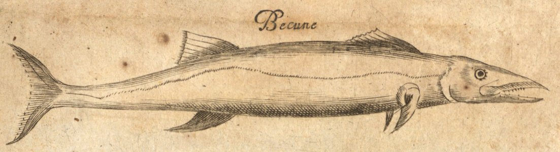De Becune - BNA-DIG-KOSTBARE-0427-036 e