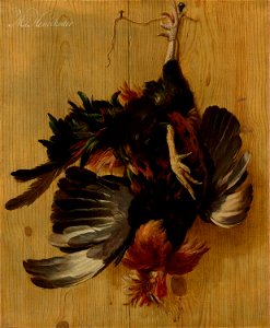 Dead Cock Hanging from a Nail attributed to Melchior d'Hondecoeter Mauritshuis 968. Free illustration for personal and commercial use.