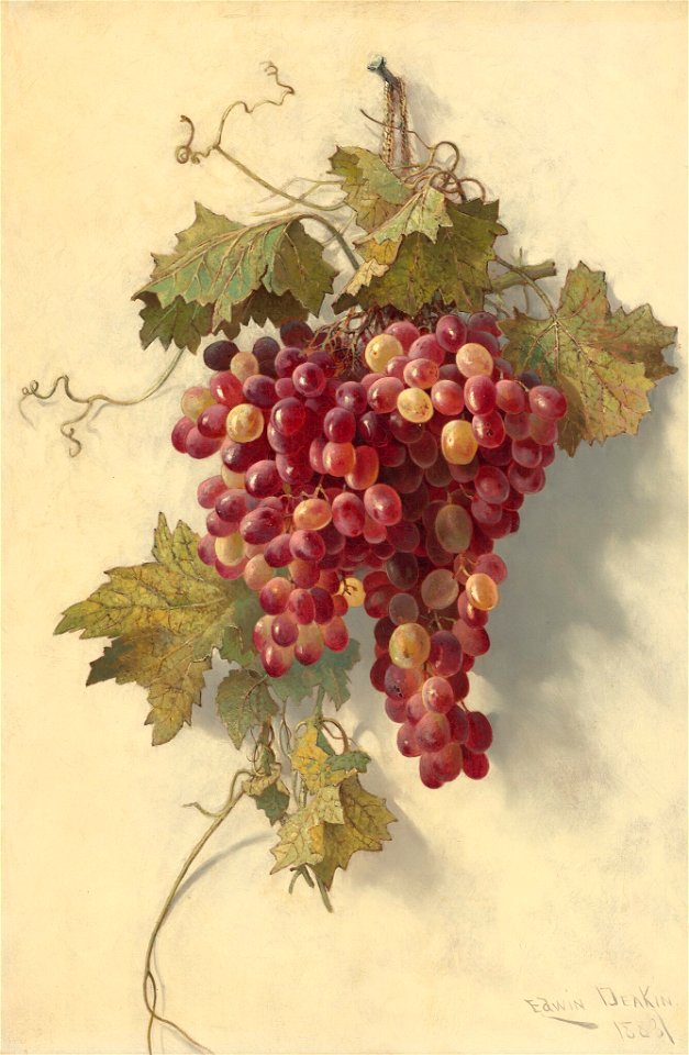 Edwin Deakin - Grapes Against White Wall - 2004.165.4 - National Gallery of Art