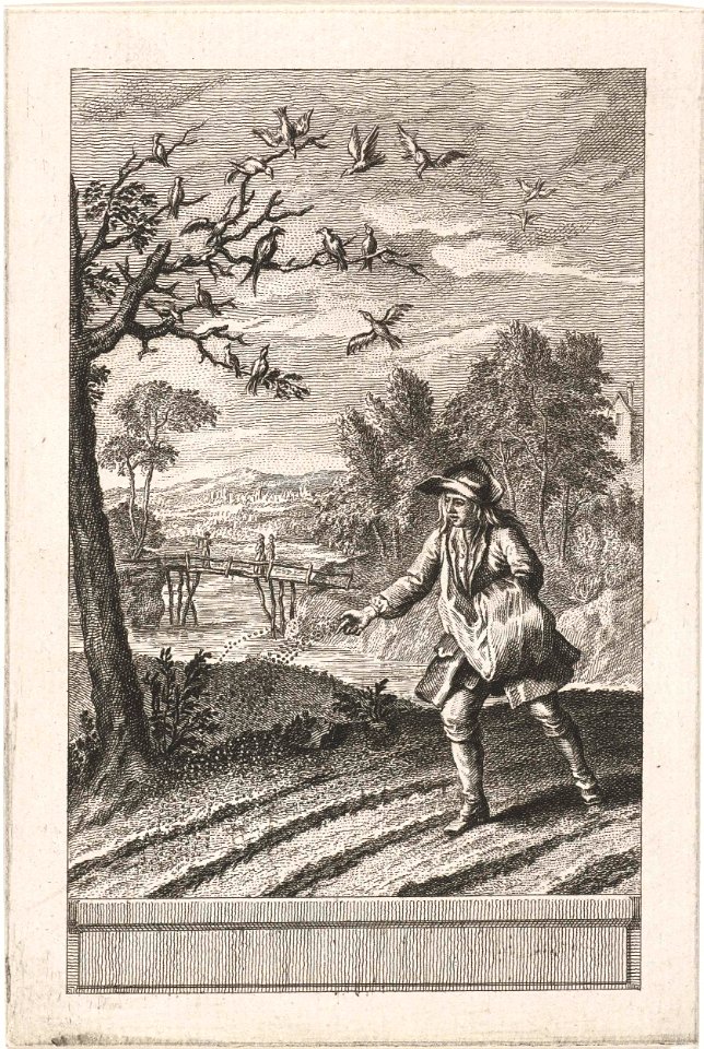 De zwaluwen en de vogeltjes