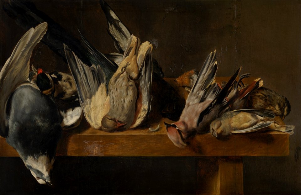 Dead Birds by Elias Vonck Mauritshuis 404