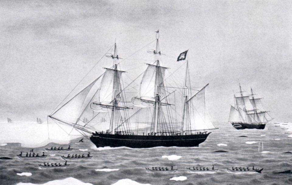 De(r) junge Conrad (1845)