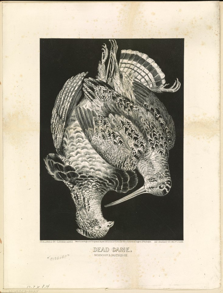 Dead game- Woodcock & Partridge LCCN91792436