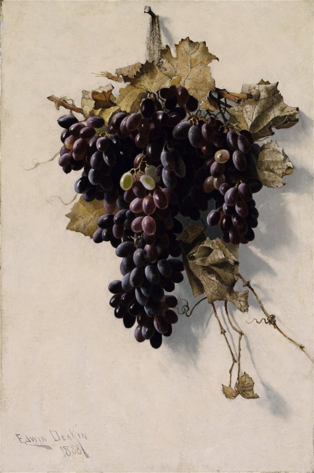 Still Life with Grapes SAAM-1989.102 1