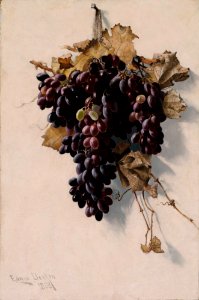 Still Life with Grapes SAAM-1989.102 1