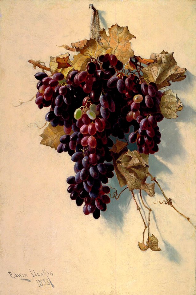 Edwin Deakin - Still Life with Grapes - 1989.102 - Smithsonian American Art Museum