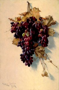 Edwin Deakin - Still Life with Grapes - 1989.102 - Smithsonian American Art Museum