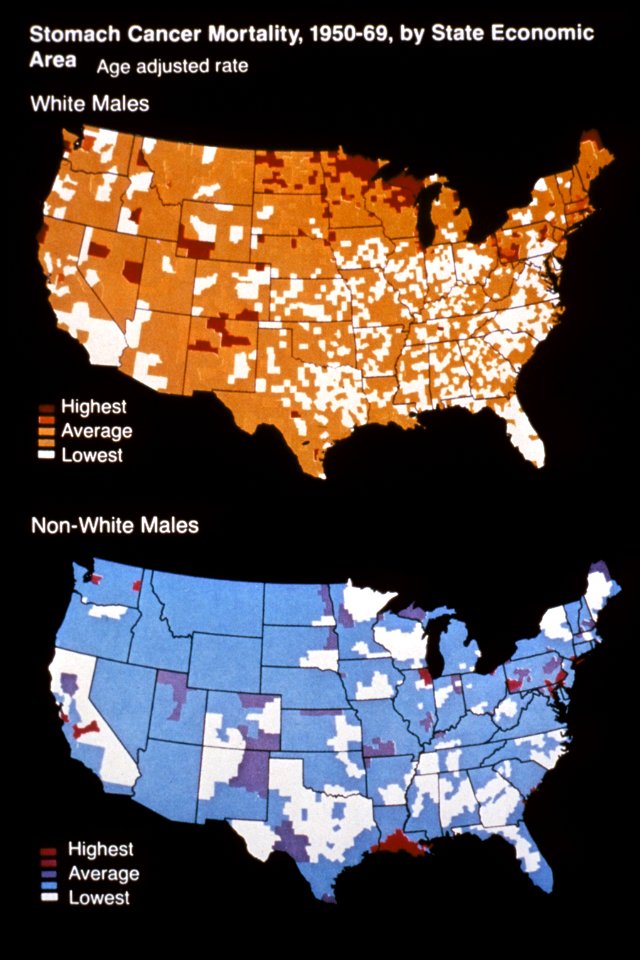 Decade of discovery, stomach cancer mortality