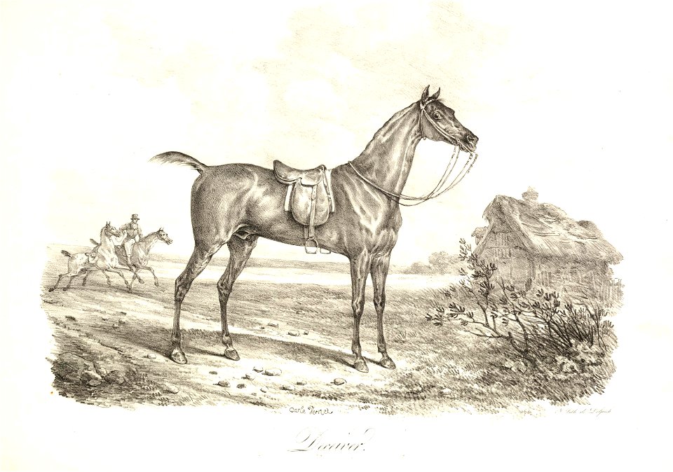 Deceiver (BM 1867,0309.916)