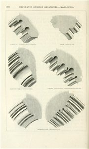 Decorated English Mouldings stylesofarchitec00rick 0262