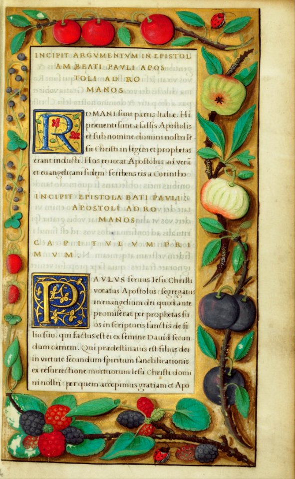 Decorated Text Page - Google Art Project (6807970)