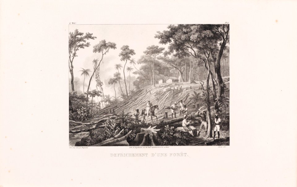 Defrichement d´une forêt, da Coleção Brasiliana Iconográfica