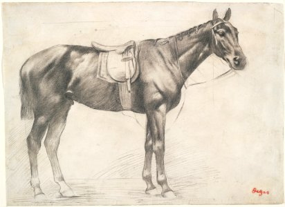 Degas - Horse with Saddle and Bridle, 1943.810. Free illustration for personal and commercial use.