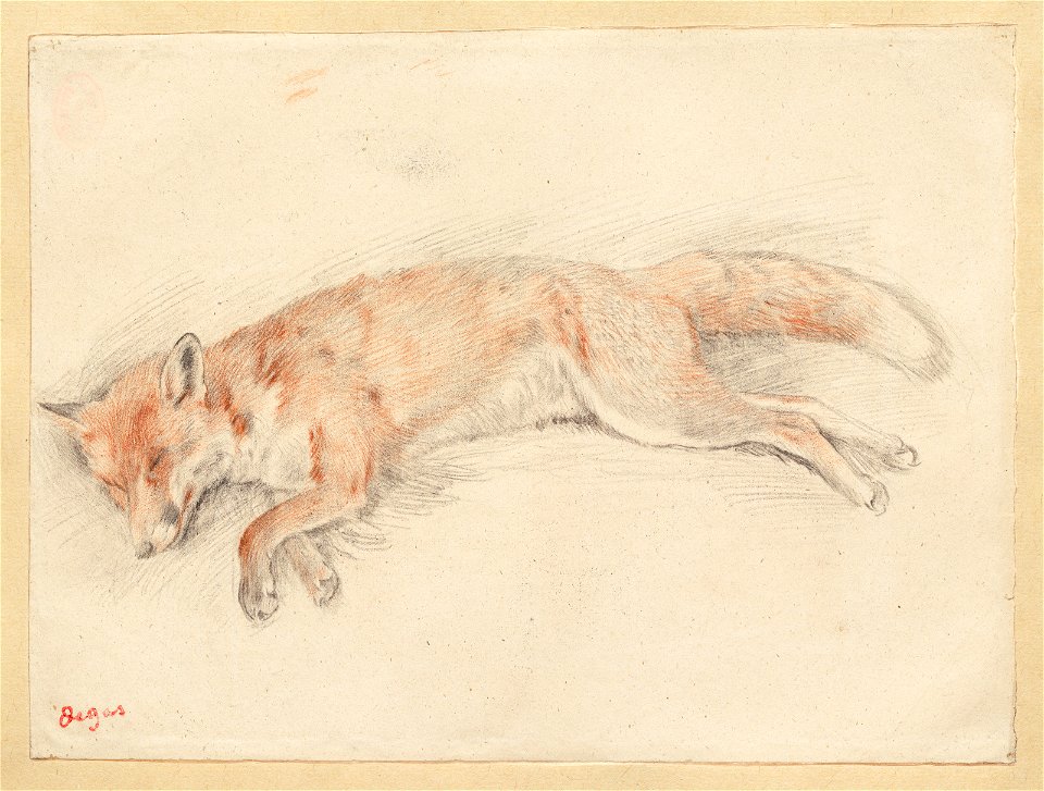 Degas - Study for Dead Fox in the Forest, 1955.1396