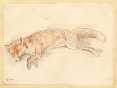 Degas - Study for Dead Fox in the Forest, 1955.1396