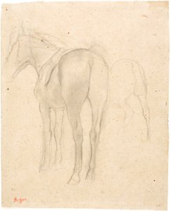 Degas - Studies of a Horse, 1922.5519. Free illustration for personal and commercial use.