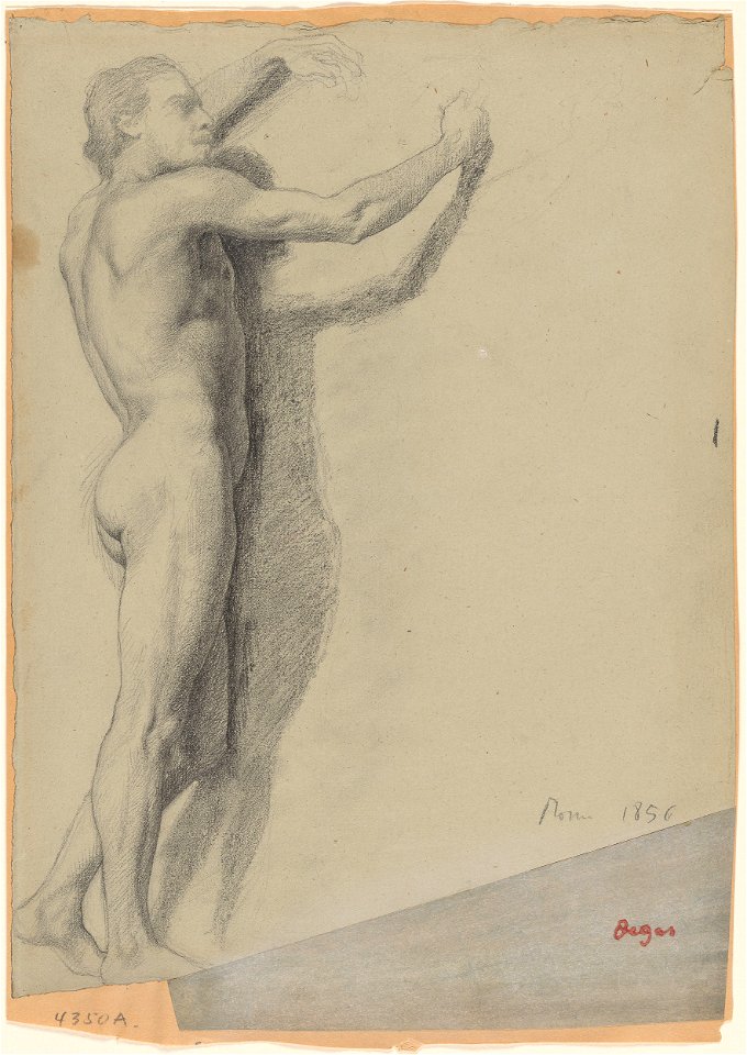 Degas - Study of a Male Nude, 1985.45