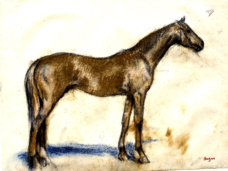 Degas - Racehorse, 1955.1387