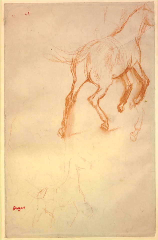 Degas - Sketches of a horse, 1920,0420.15