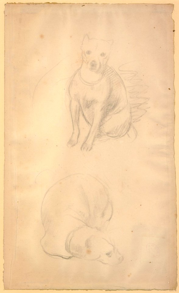 Degas - Two sketches of a dog; in the top seated, the other lying down, 1924,0617.34