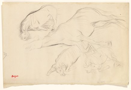 Degas - Studies of Horses, 1955.1391