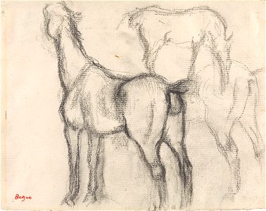 Degas - Studies of horses, NG.K&H.B.15569