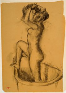 Degas - Woman Standing in a Bathtub, 1955.1394