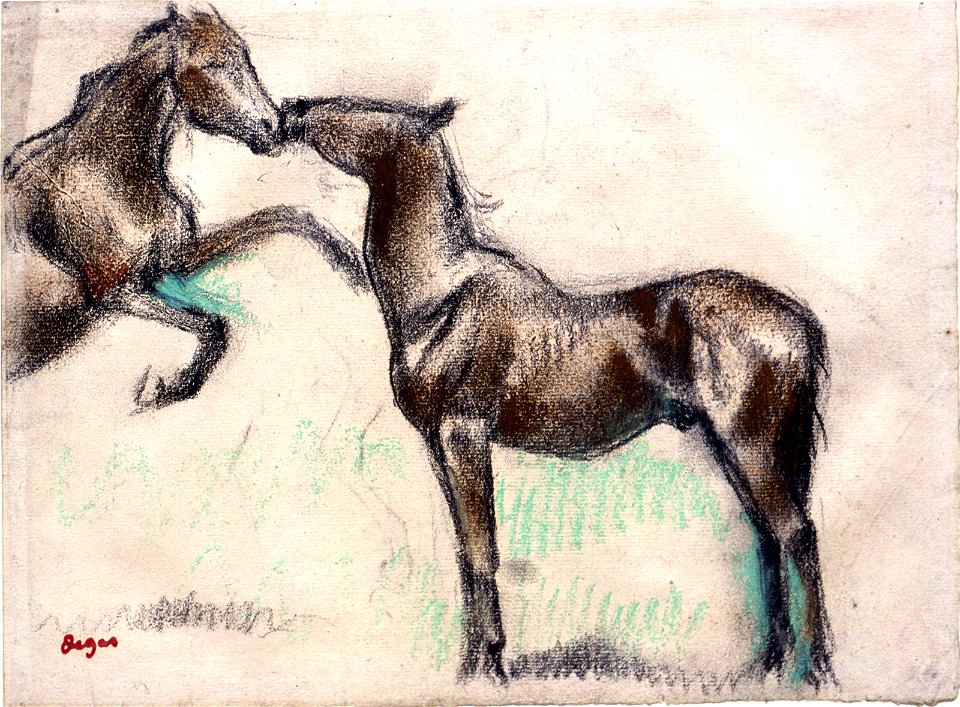 Degas - Two Horses, One Nuzzling the Other, 1955.1392