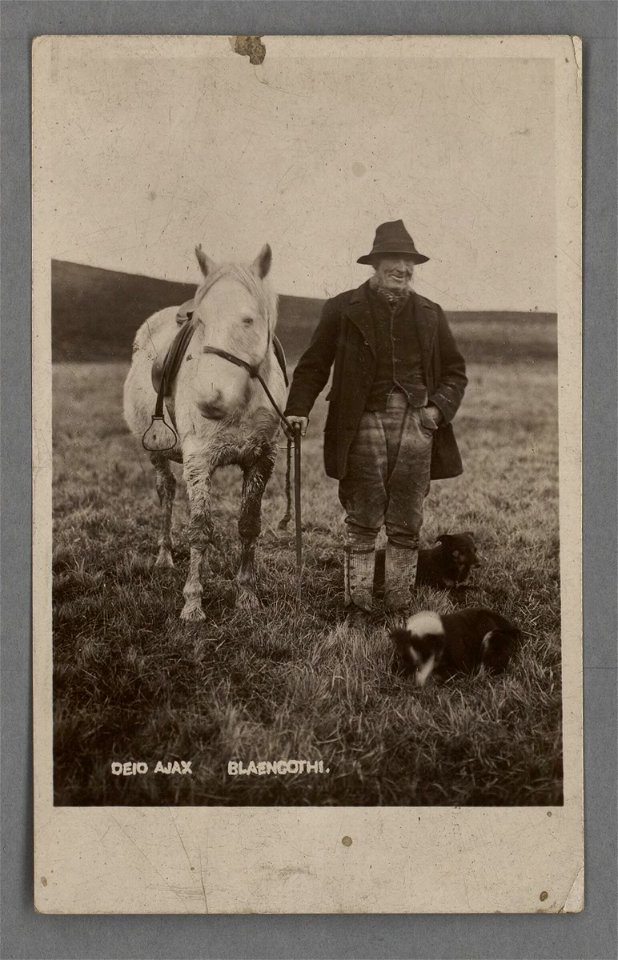 Deio Ajax, Blaencothi (5293995)
