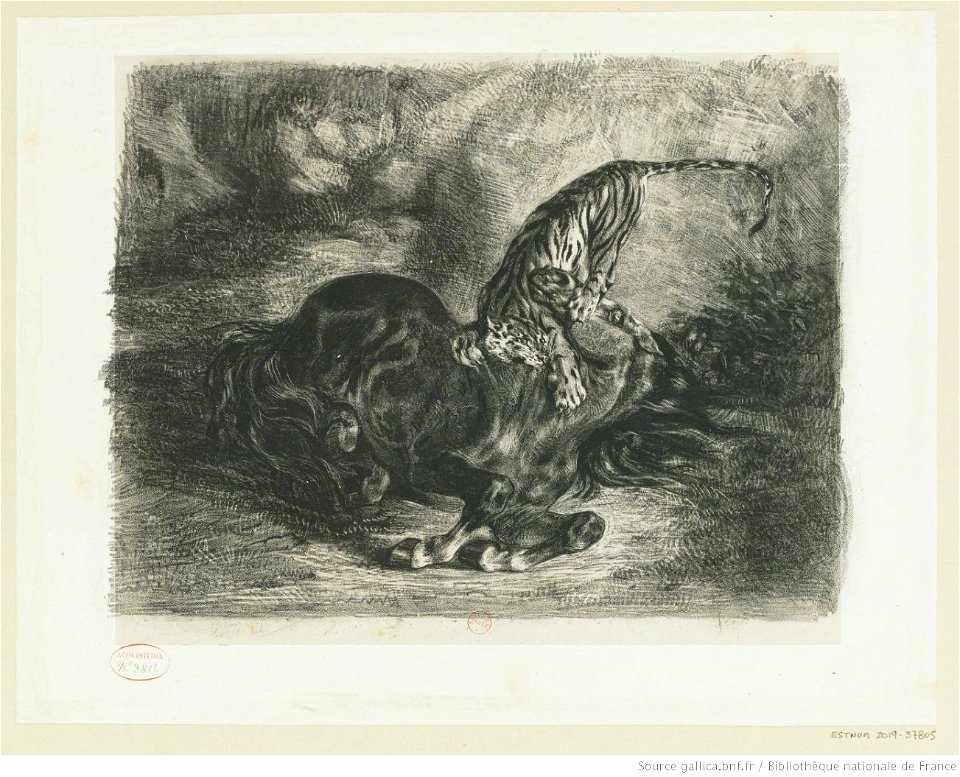 Delacroix - Cheval sauvage terrassé par un Tigre, 1er état, btv1b100297827
